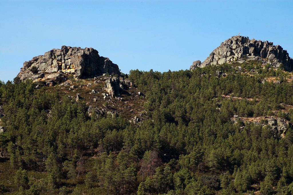 Casa Dos Lagares De Vara E Pedra Vila Flor Eksteriør billede